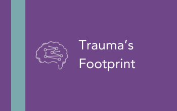 Graphic featuring a brain icon and the text Traumas Footprint on a purple background.